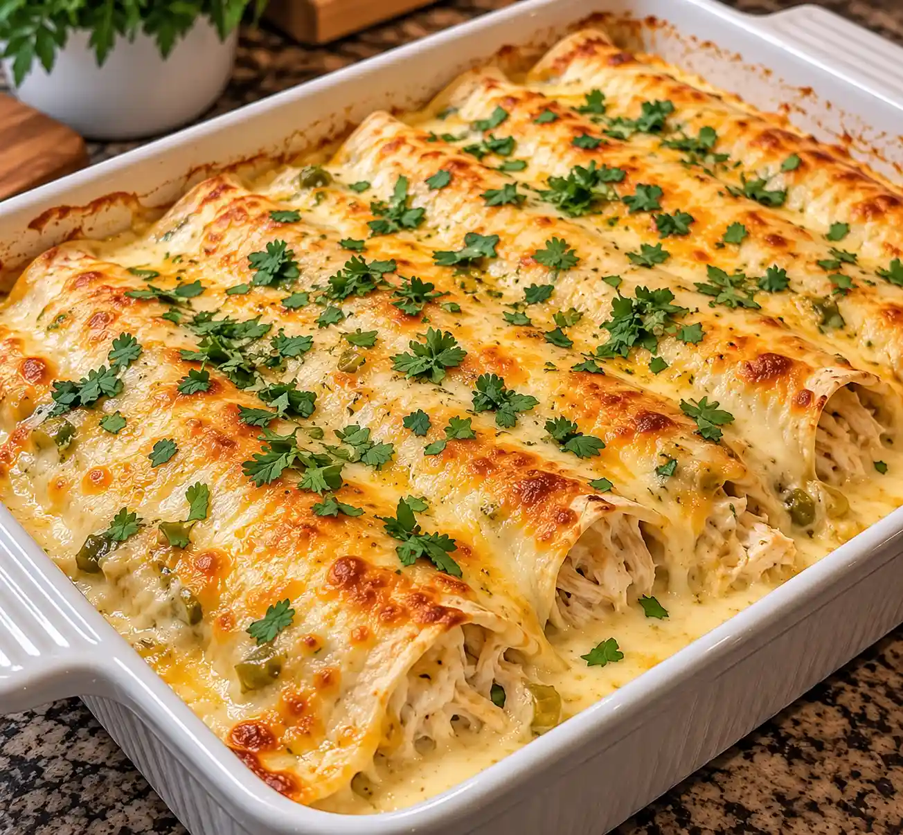 Creamy White Chicken Enchiladas